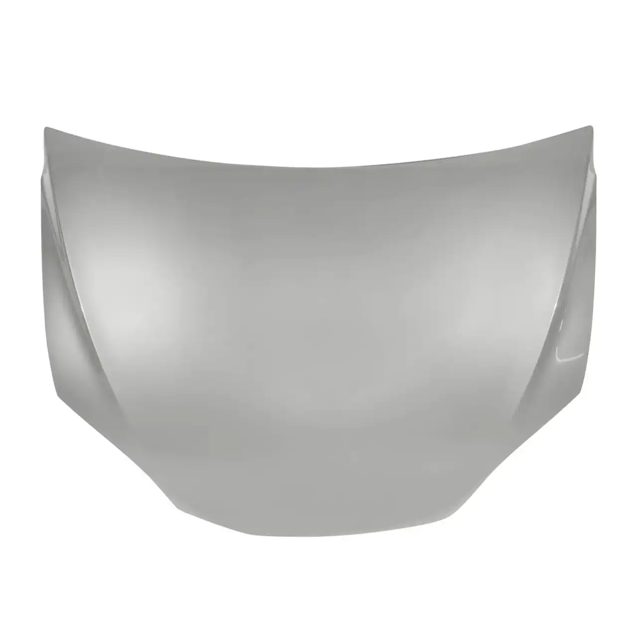 Vicrez Replacement Hood vz102613 for Tesla Model X 2018-2022