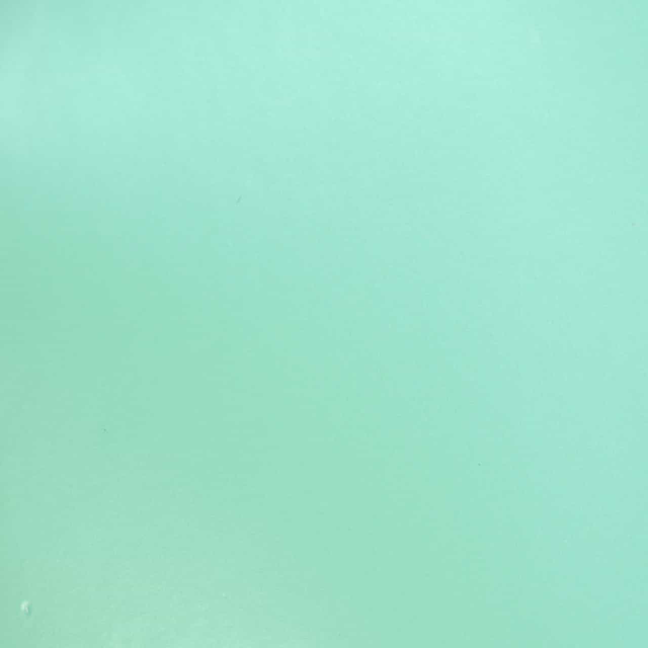 Vicrez Vinyl Car Wrap Film vzv10538 Pearly Butterfly