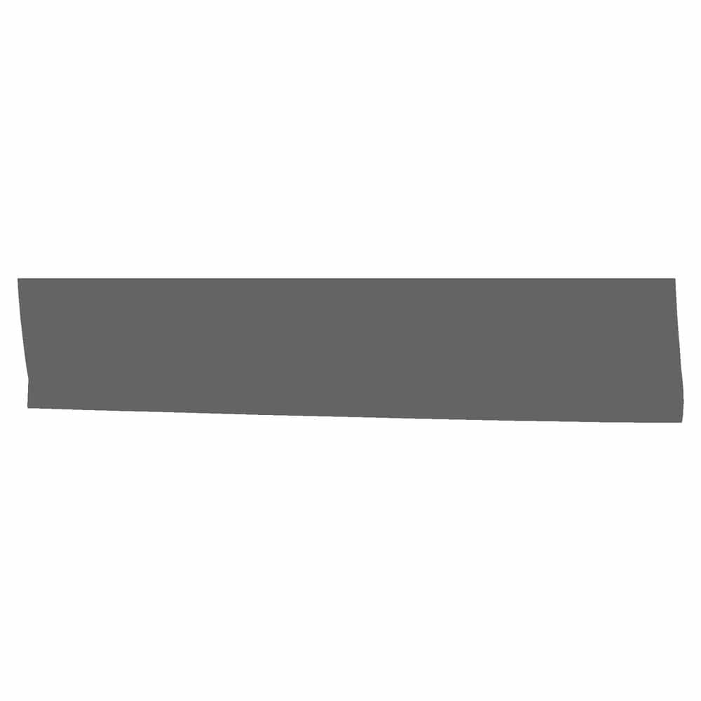 Vicrez Paint Protection PPF Pre-Cut Door, Front Panel Driver vpp148860 for Ford Expedition SUV 2025-2026