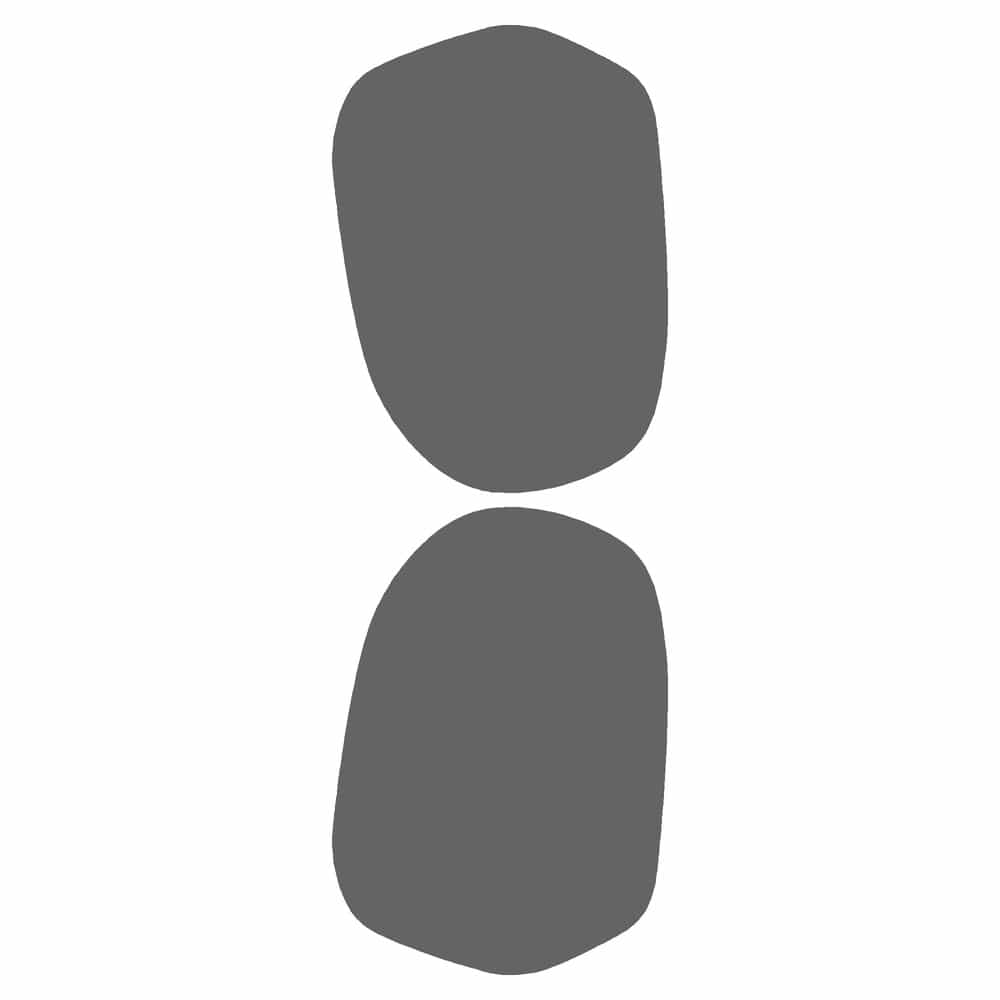 Vicrez Paint Protection PPF Pre-Cut Kit, Mirrors vpp165429 for Honda Civic Sedan 2004-2005