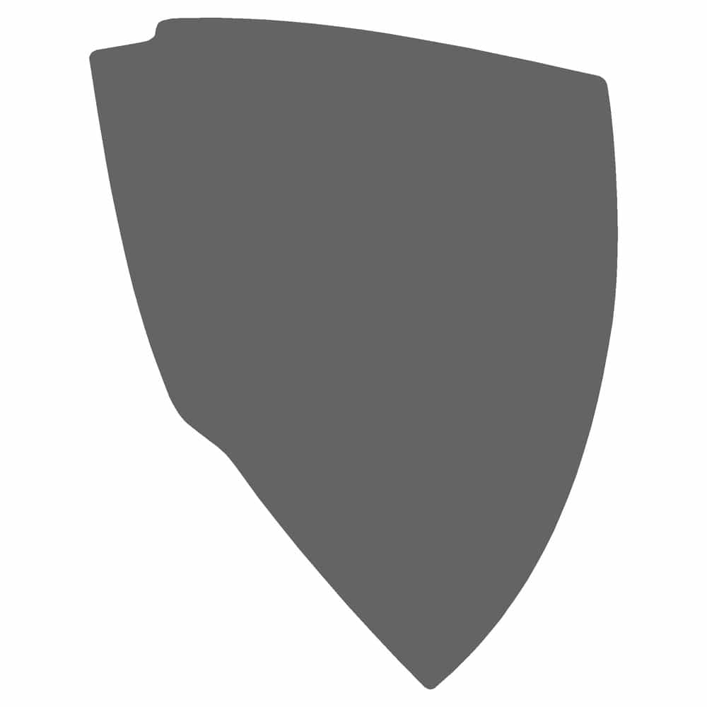 Vicrez Paint Protection PPF Pre-Cut Mirror, Driver vpp126491 for Buick Envision SUV 2024-2026
