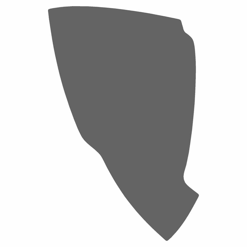 Vicrez Paint Protection PPF Pre-Cut Mirror, Driver vpp133309 for Chevrolet Cruze Sedan 2019