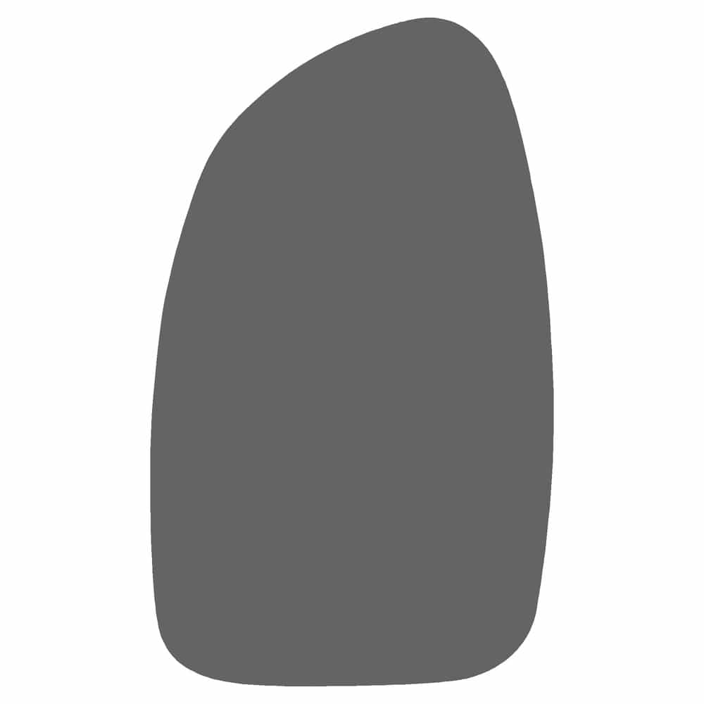 Vicrez Paint Protection PPF Pre-Cut Mirror, Driver vpp134862 for Chevrolet Silverado 2002