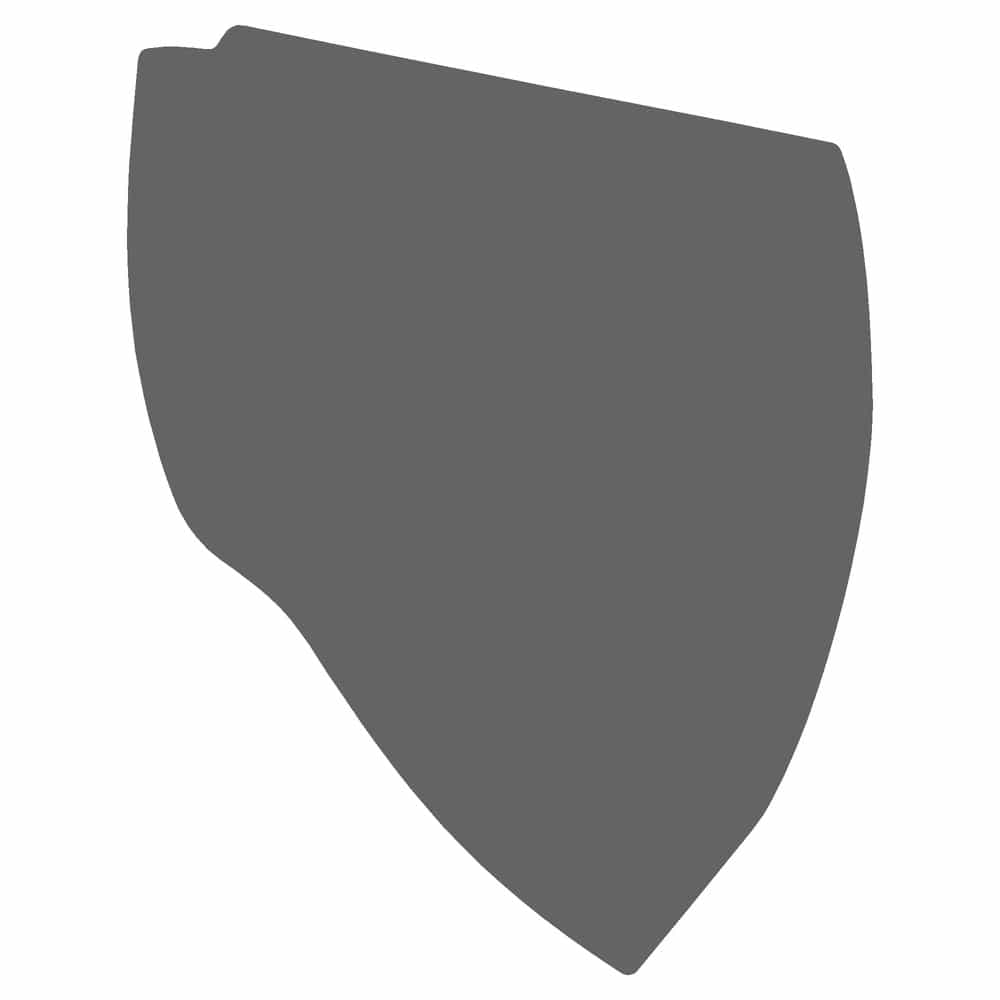 Vicrez Paint Protection PPF Pre-Cut Mirror, Driver vpp144333 for Dodge Hornet SUV 2023-2025