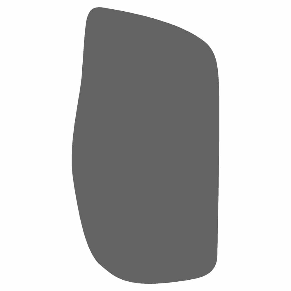 Vicrez Paint Protection PPF Pre-Cut Mirror, Passenger vpp120700 for BMW X3 SUV 2008-2009