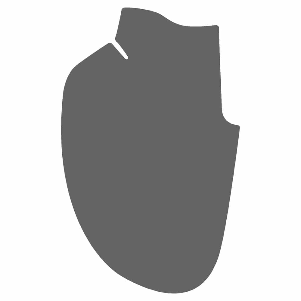 Vicrez Paint Protection PPF Pre-Cut Mirror, Passenger vpp130143 for Chevrolet Aveo Hatchback 2009-2011