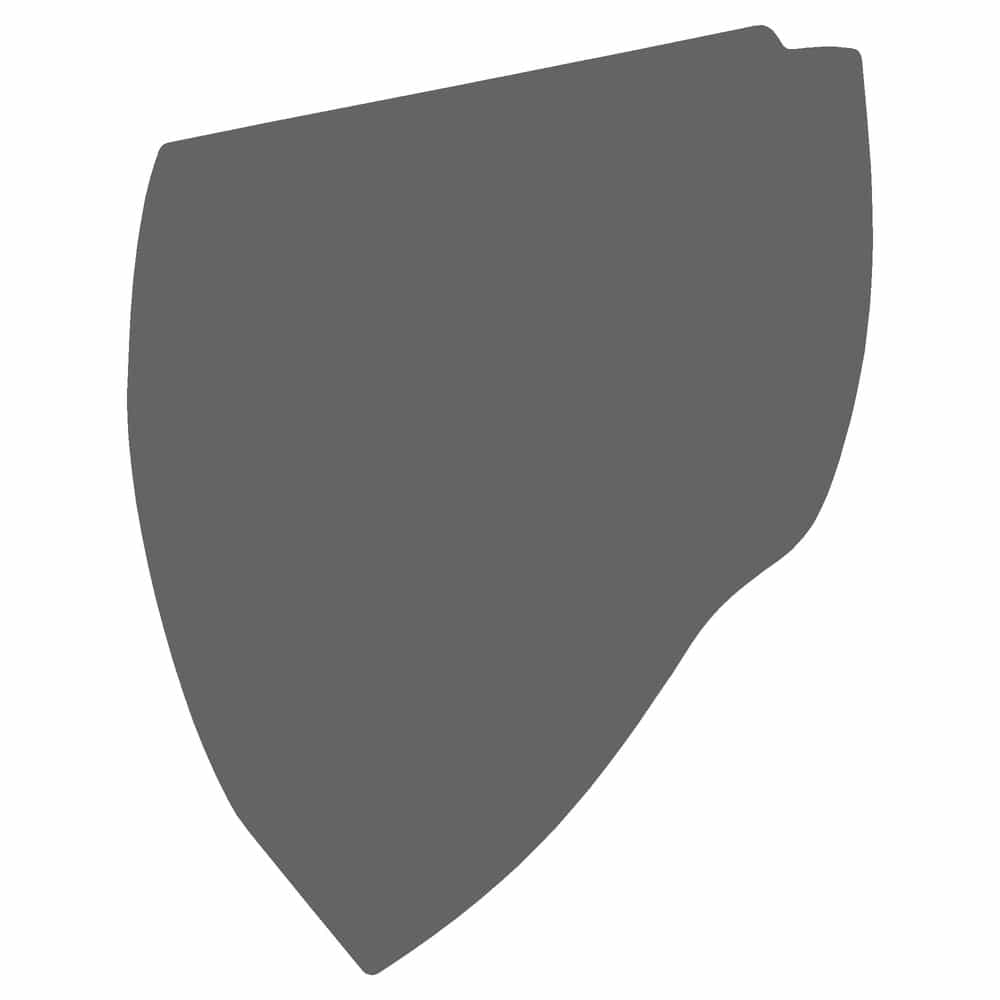 Vicrez Paint Protection PPF Pre-Cut Mirror, Passenger vpp144334 for Dodge Hornet SUV 2023-2025