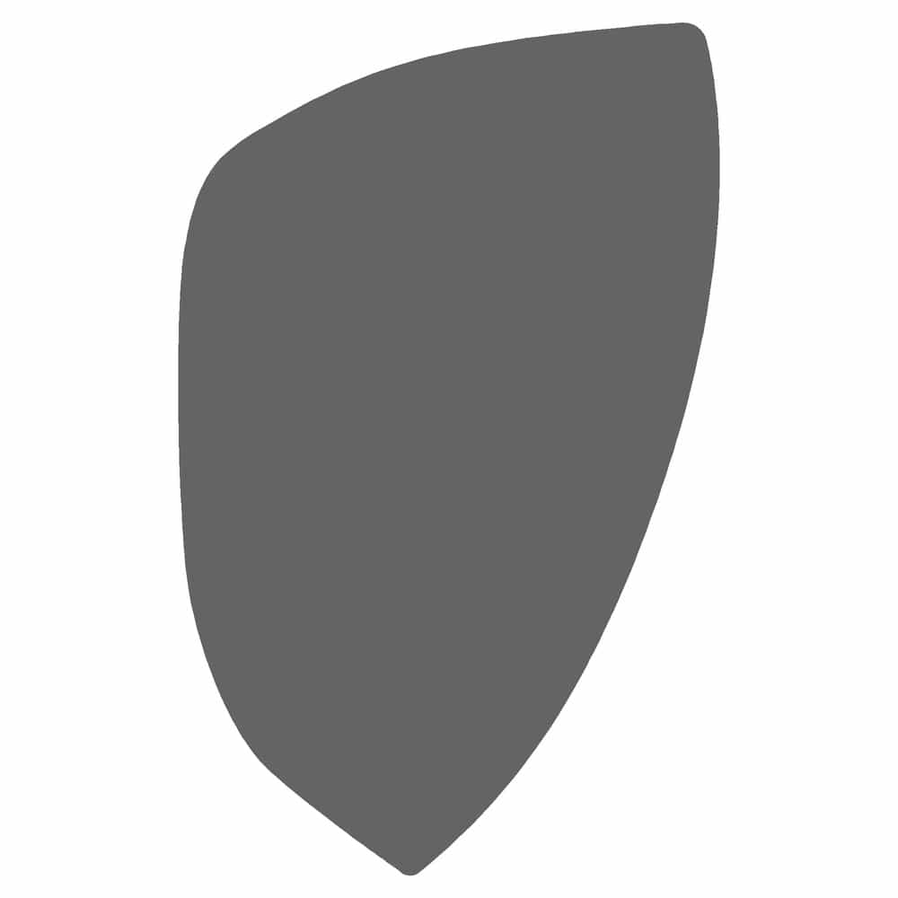 Vicrez Paint Protection PPF Pre-Cut Mirror, Passenger vpp211324 for Nissan 370z 2009-2012