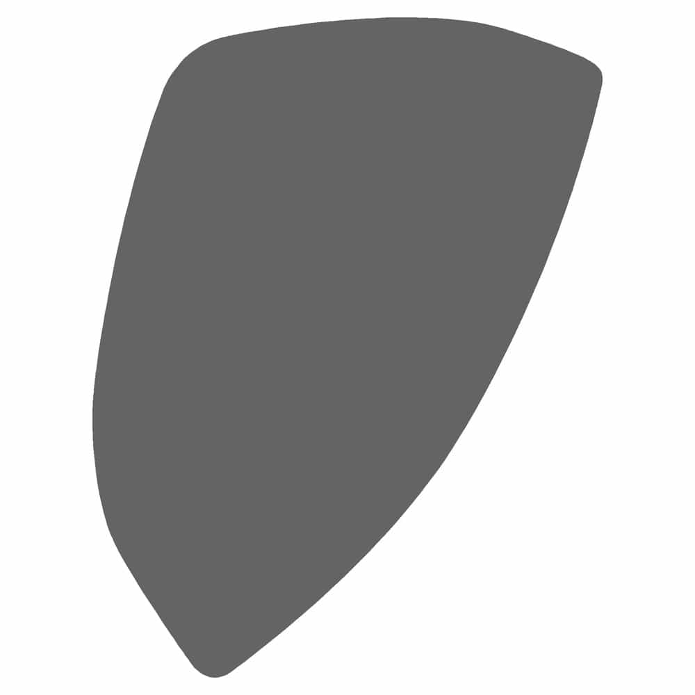 Vicrez Paint Protection PPF Pre-Cut Mirror, Passenger vpp213271 for Nissan Maxima Sedan 2009-2014
