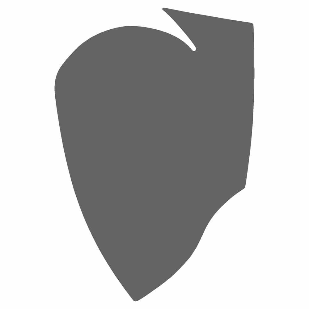 Vicrez Paint Protection PPF Pre-Cut Mirror, Passenger vpp231842 for Toyota C-HR Hatchback 2020-2022