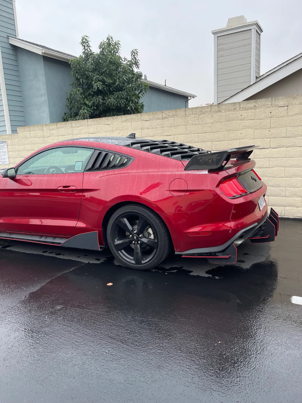 Luis's build