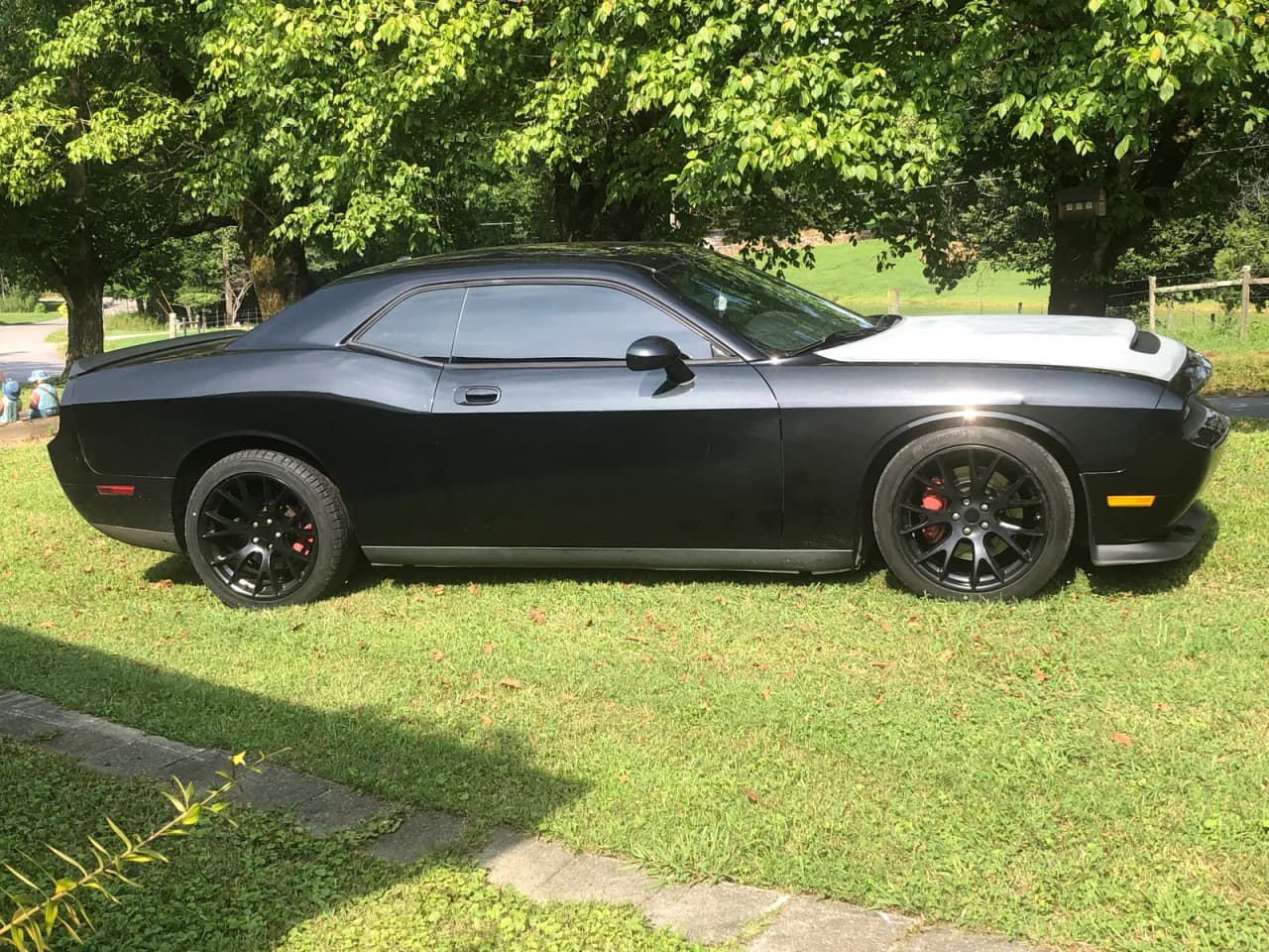 Terry's build