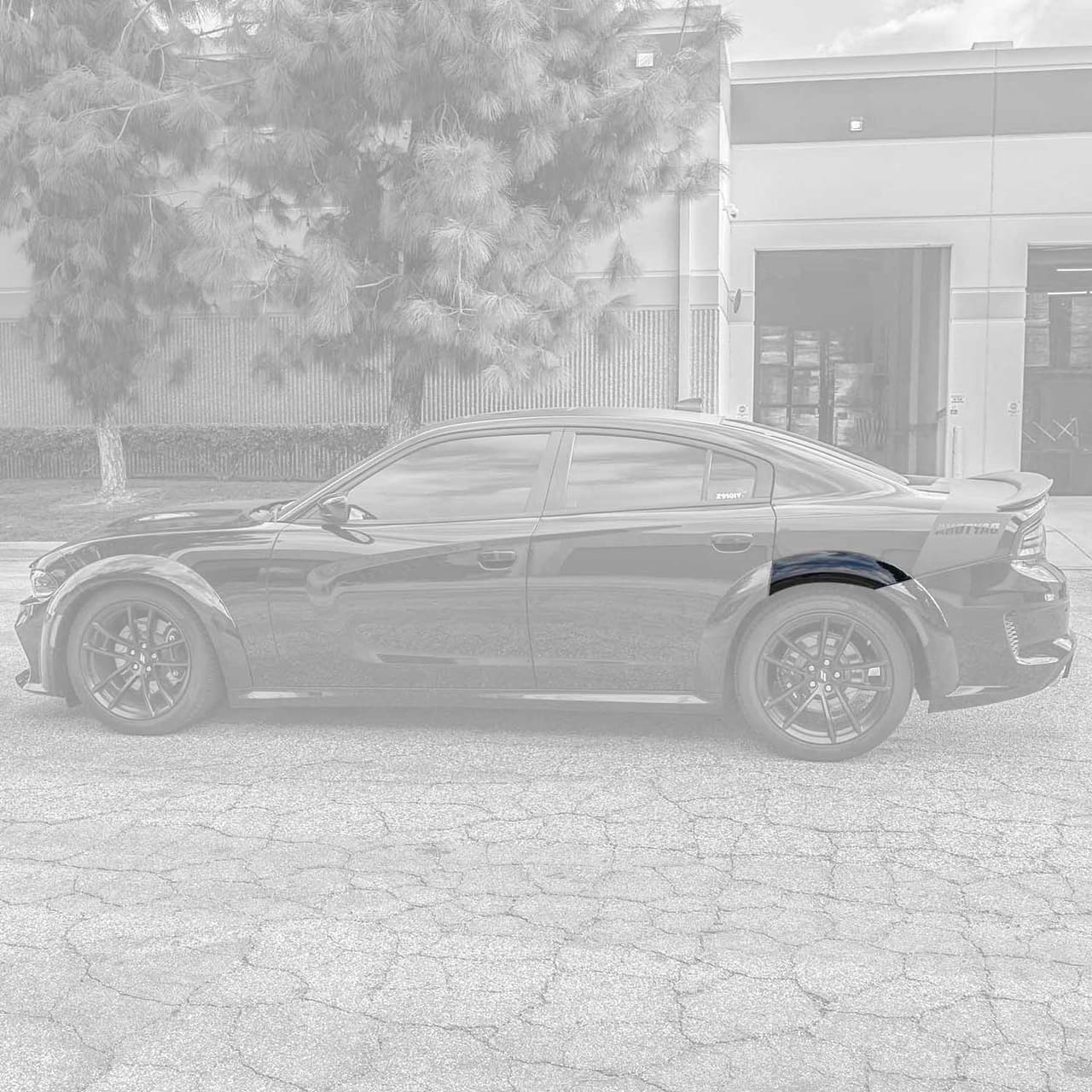 Main image - img_01KQ5T8WFQ97CHRXMF21D07E9K