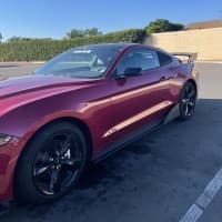 Luis's 2021 Ford Mustang