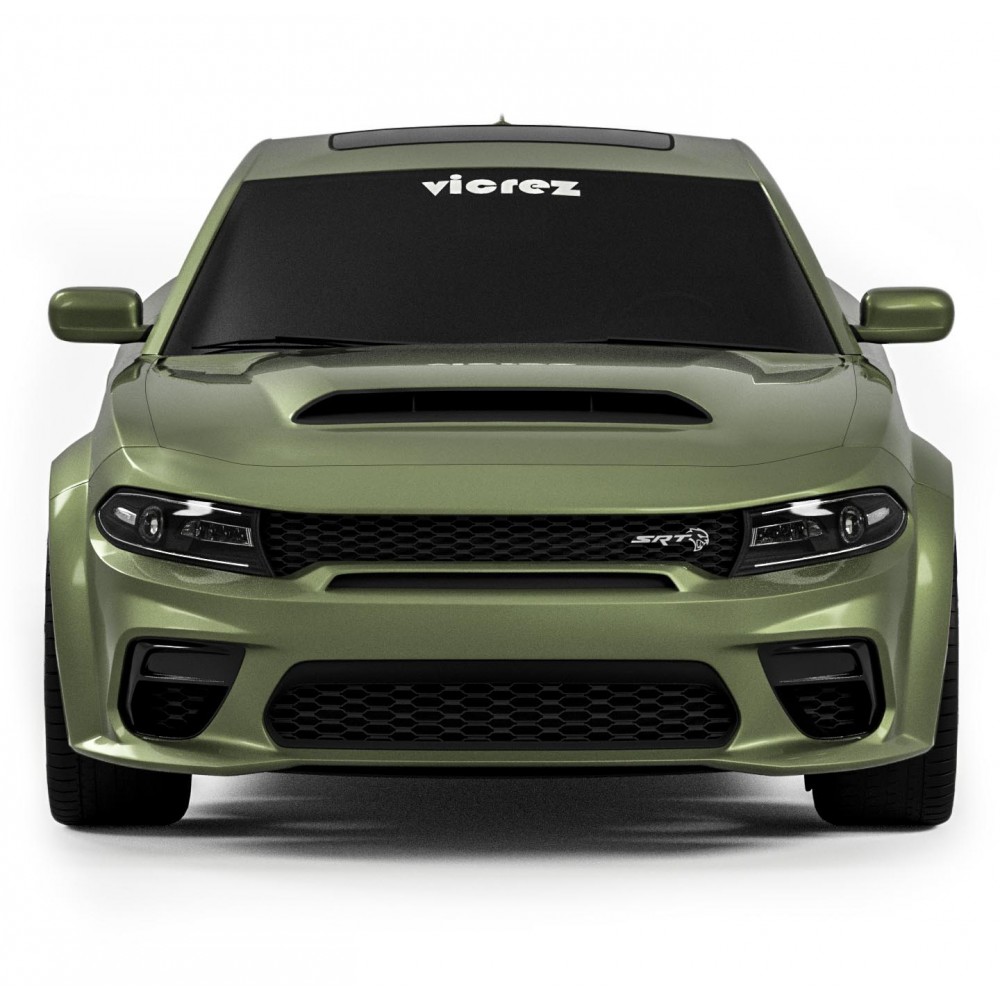 Vicrez Demon Style Hood w/ Vent Scoop vz102654 | Dodge Charger 2015-2023