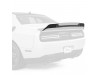 Vicrez V3R Wicker Bill Redeye Hellcat vz102289 | Dodge Challenger 2019-2023